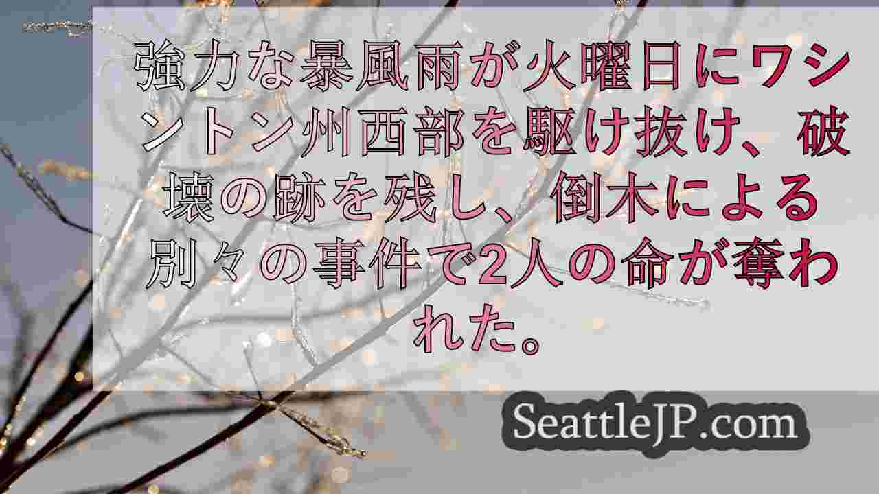 シアトルニュース SeattleJP