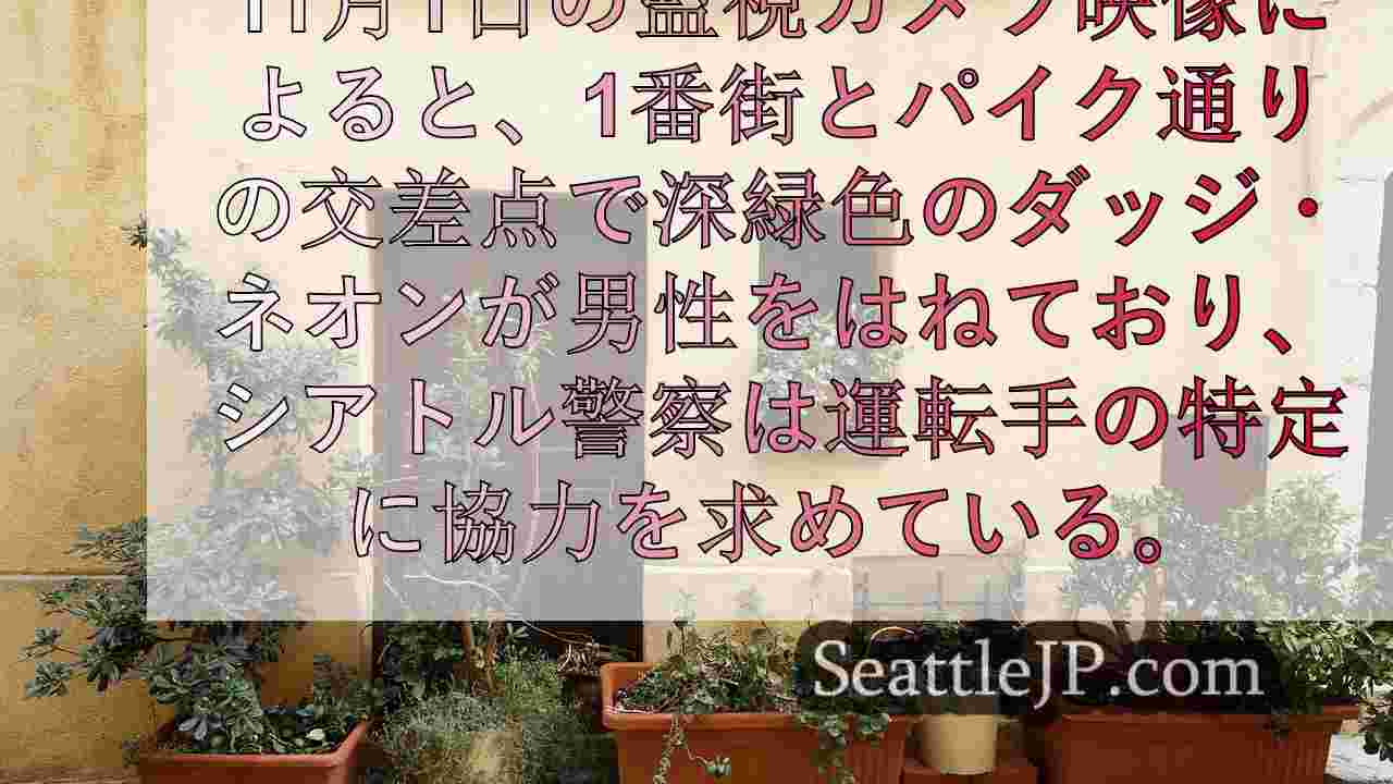 シアトルニュース SeattleJP