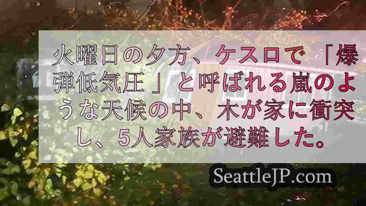 ワシントン州SWの住宅が木に押しつぶされ、5人家族とペットの犬が避難