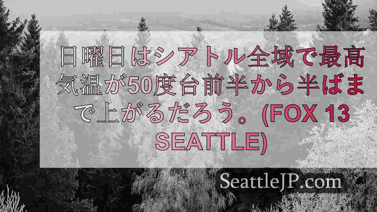 シアトルニュース SeattleJP