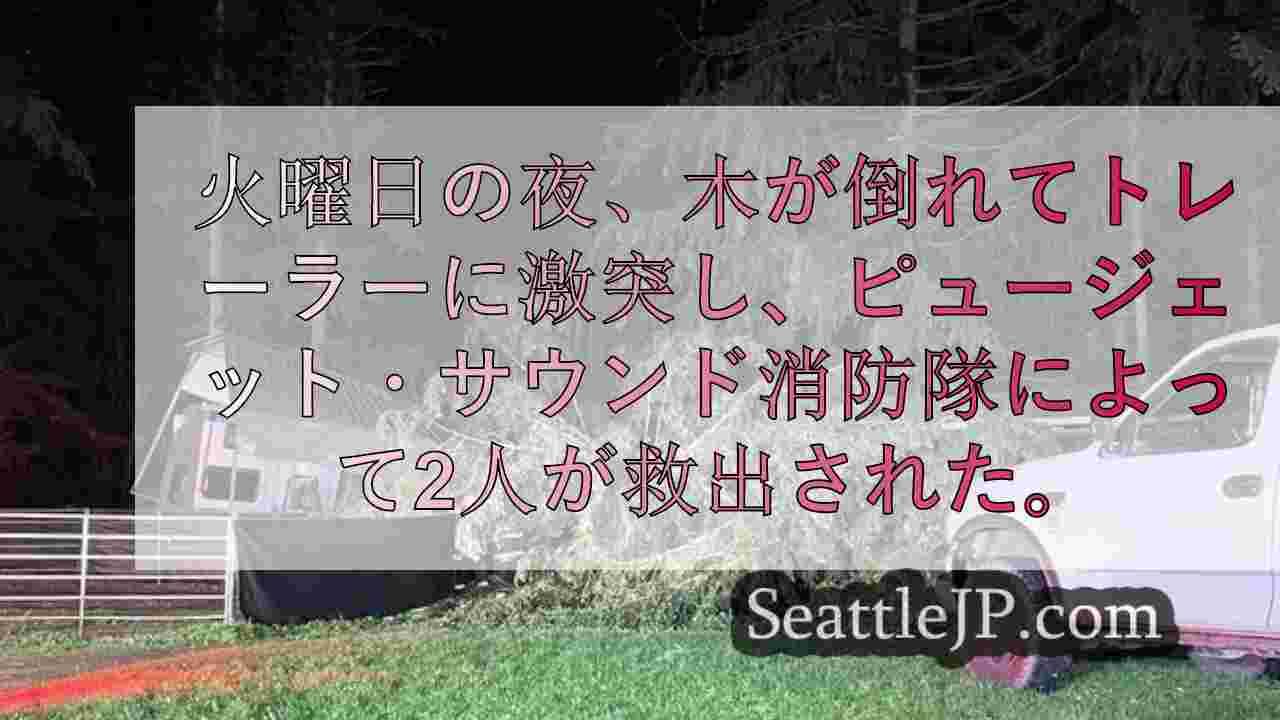シアトルニュース SeattleJP