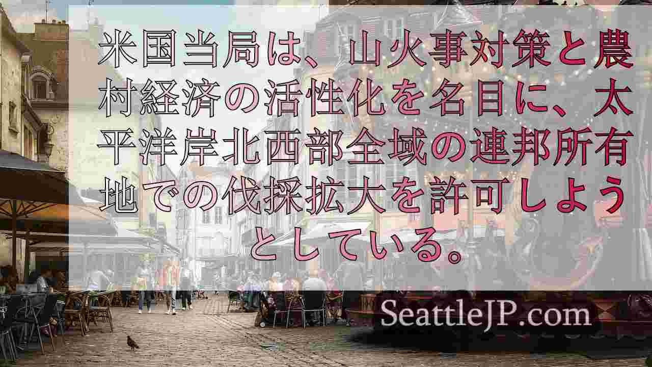 シアトルニュース SeattleJP