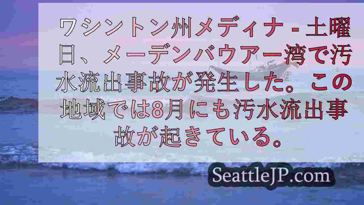 メイデンバウアー湾下水流出事故：