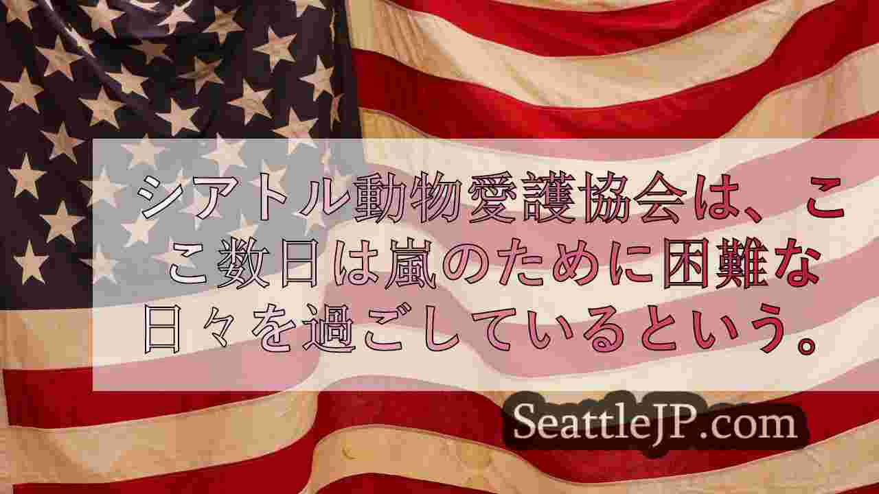 シアトルニュース SeattleJP