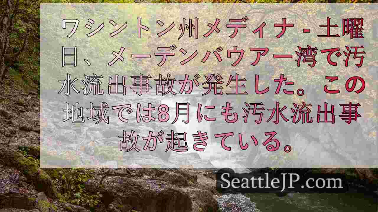 シアトルニュース SeattleJP