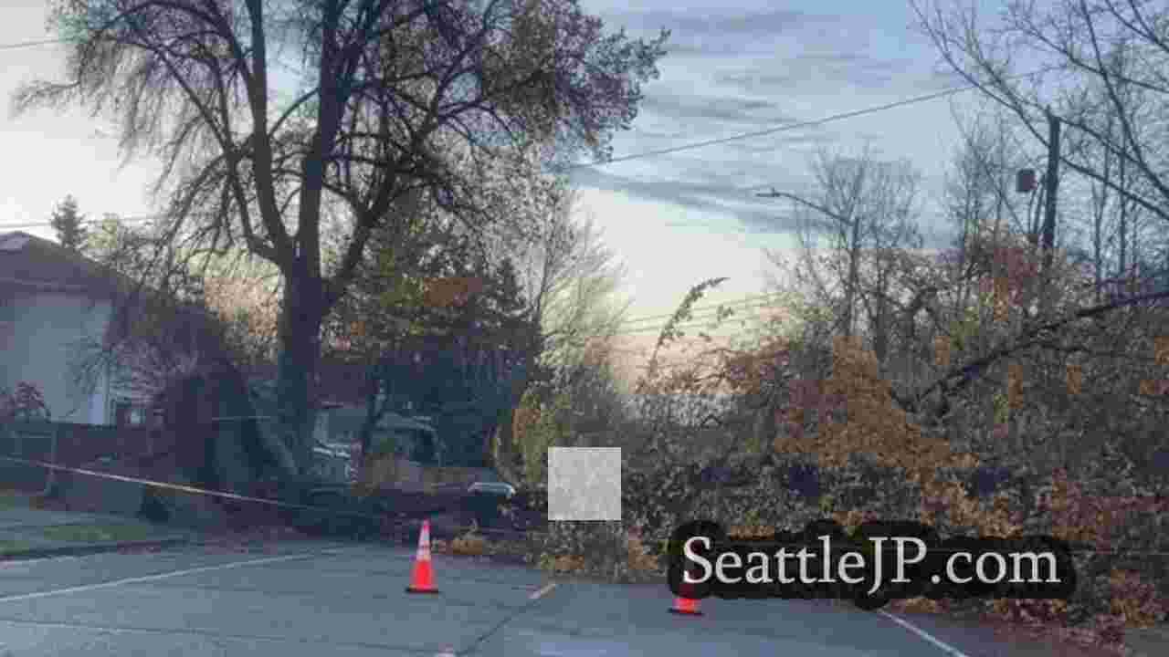 シアトルニュース SeattleJP