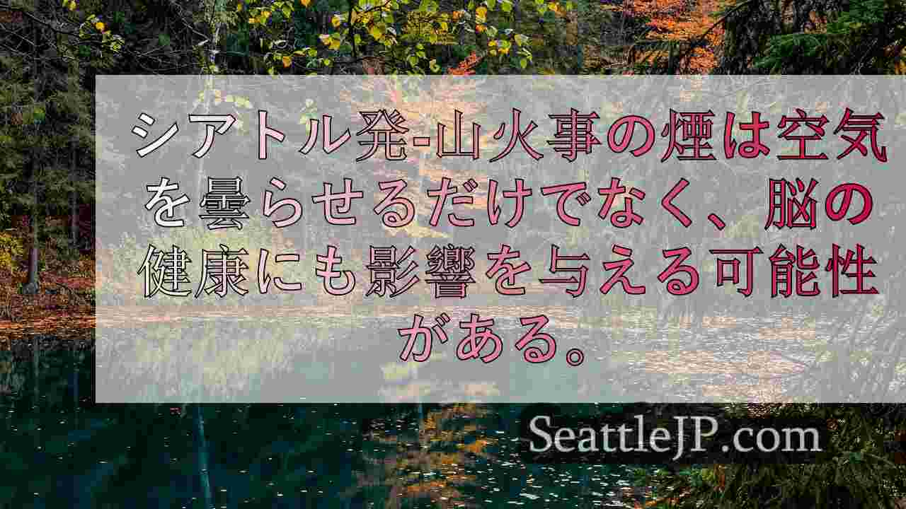 シアトルニュース SeattleJP