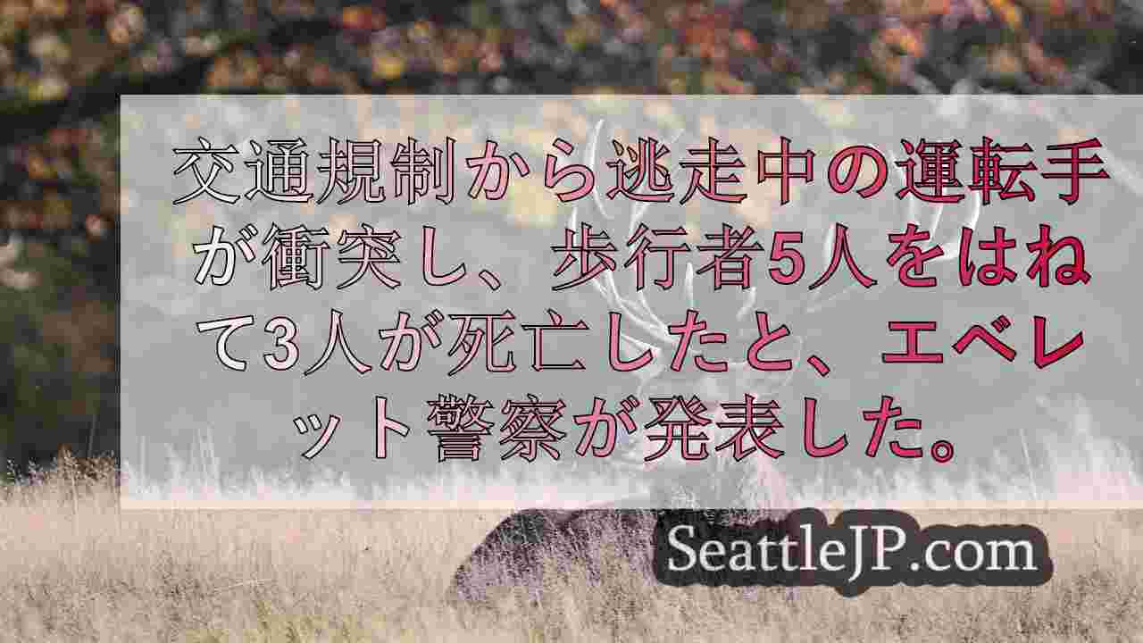 シアトルニュース SeattleJP