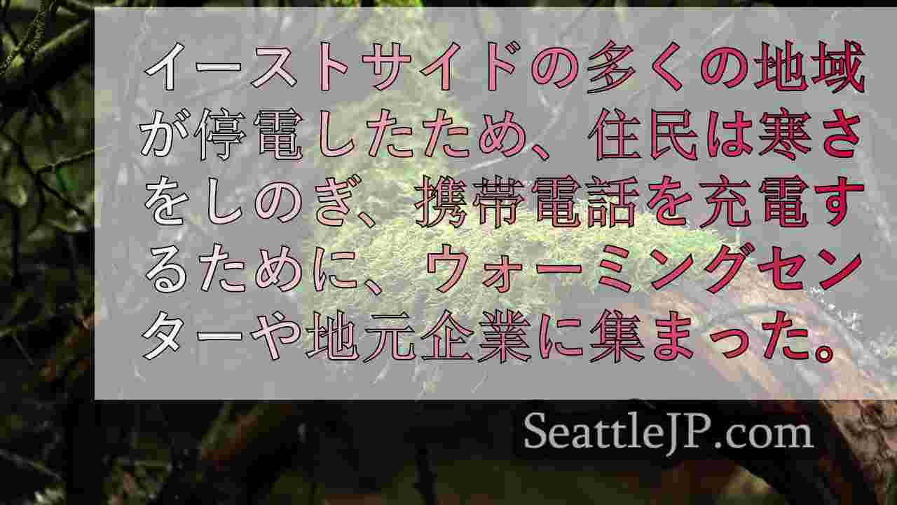 シアトルニュース SeattleJP
