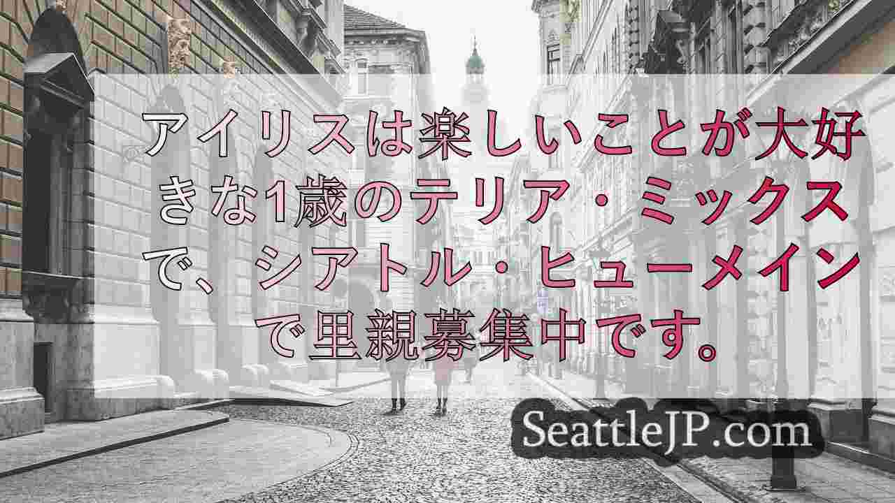シアトルニュース SeattleJP