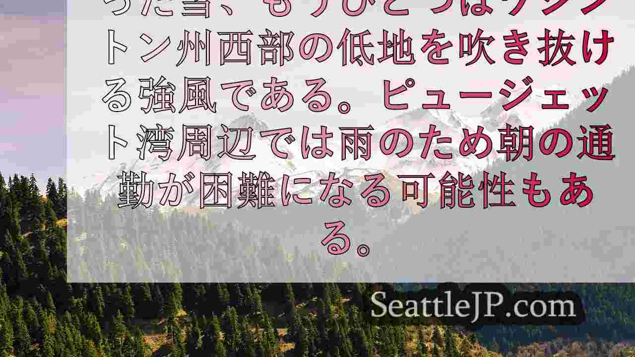 シアトルニュース SeattleJP