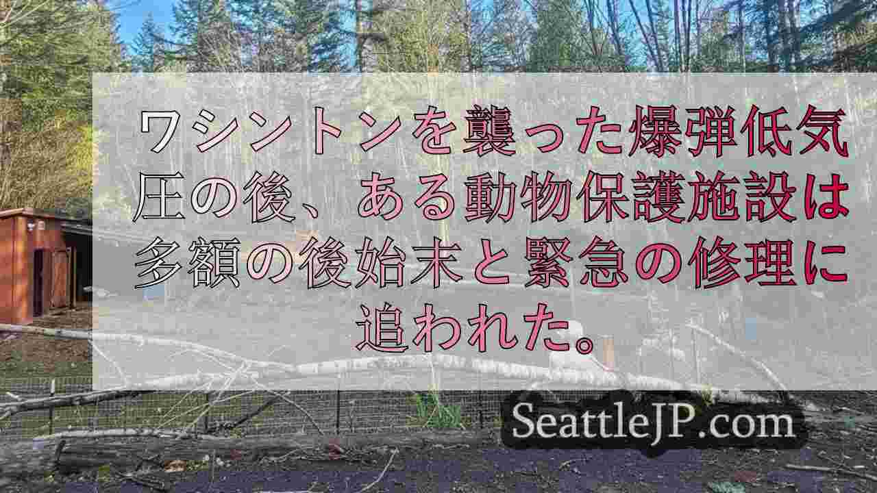 暴風で動物保護施設が停電、動物の安全のため緊急修理が必要