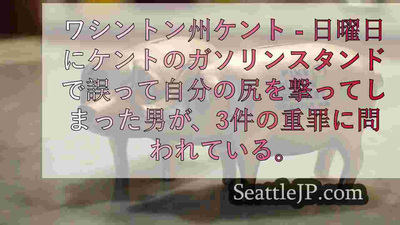 警察 WA州男性、自分の尻を撃って重罪に直面