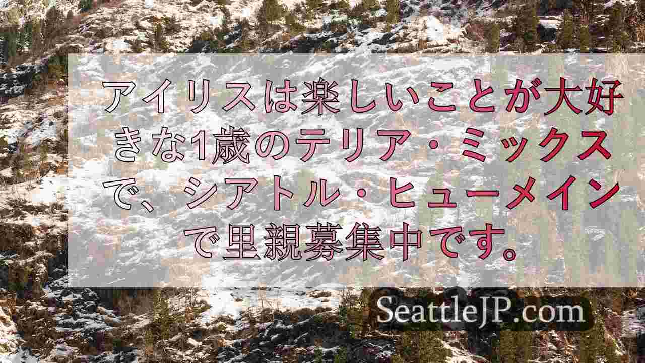 シアトルニュース SeattleJP