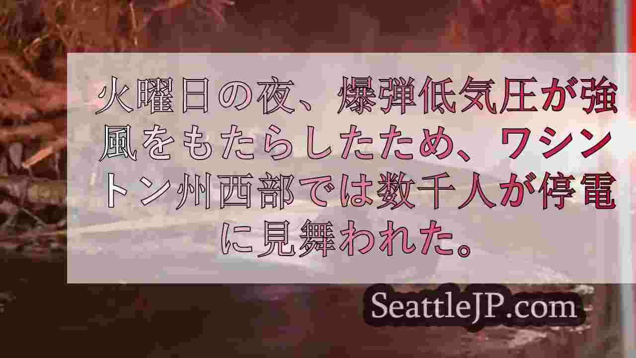 シアトルニュース SeattleJP