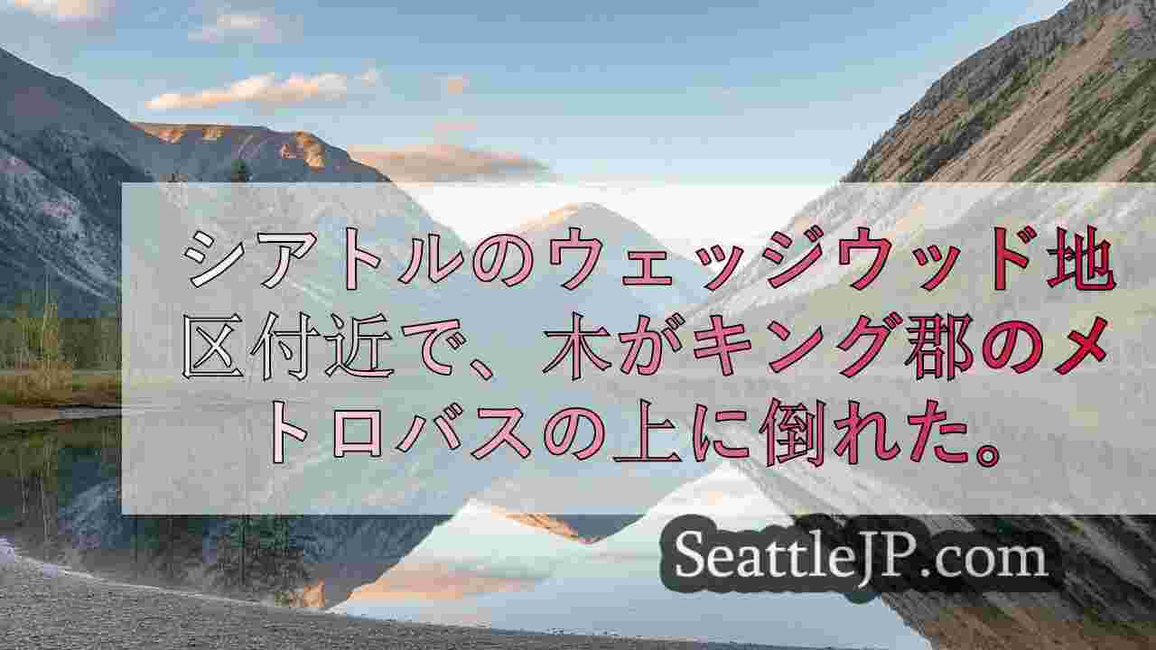シアトルニュース SeattleJP