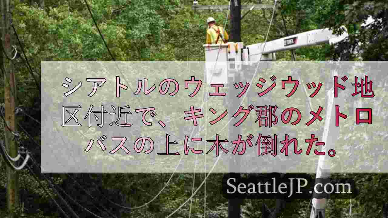 シアトル・シティ・ライト、2度目の暴風雨が金曜日に迫る中、停電が続く
