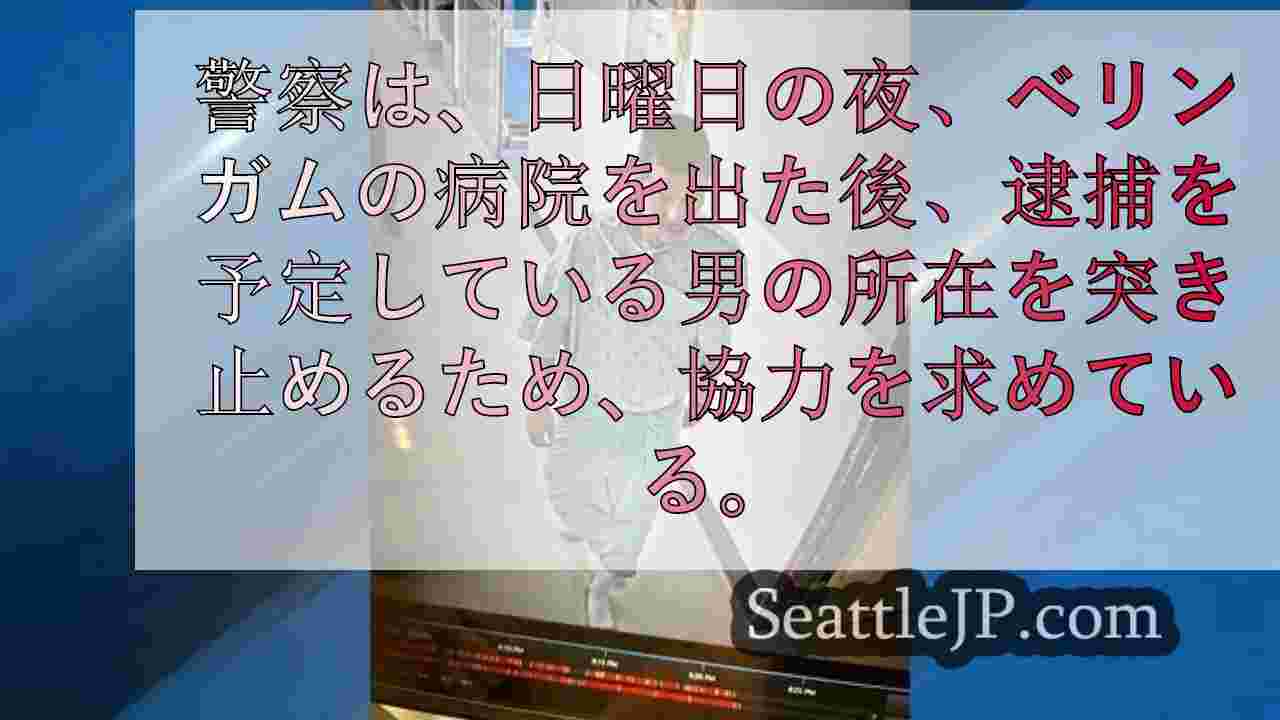 シアトルニュース SeattleJP