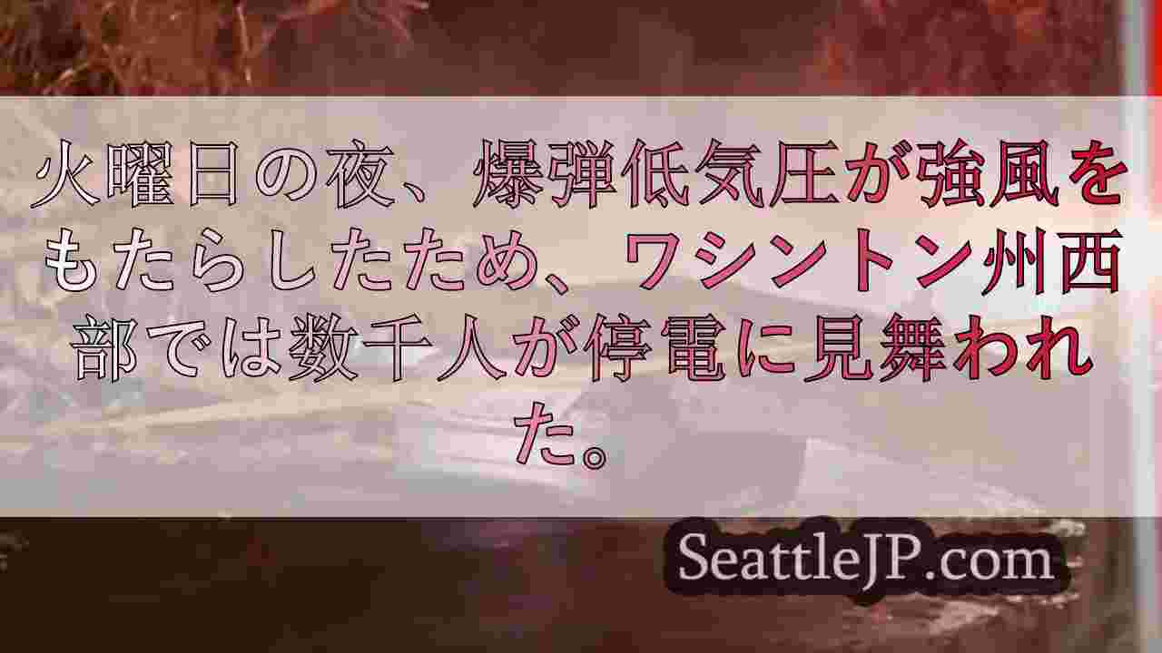 シアトルニュース SeattleJP