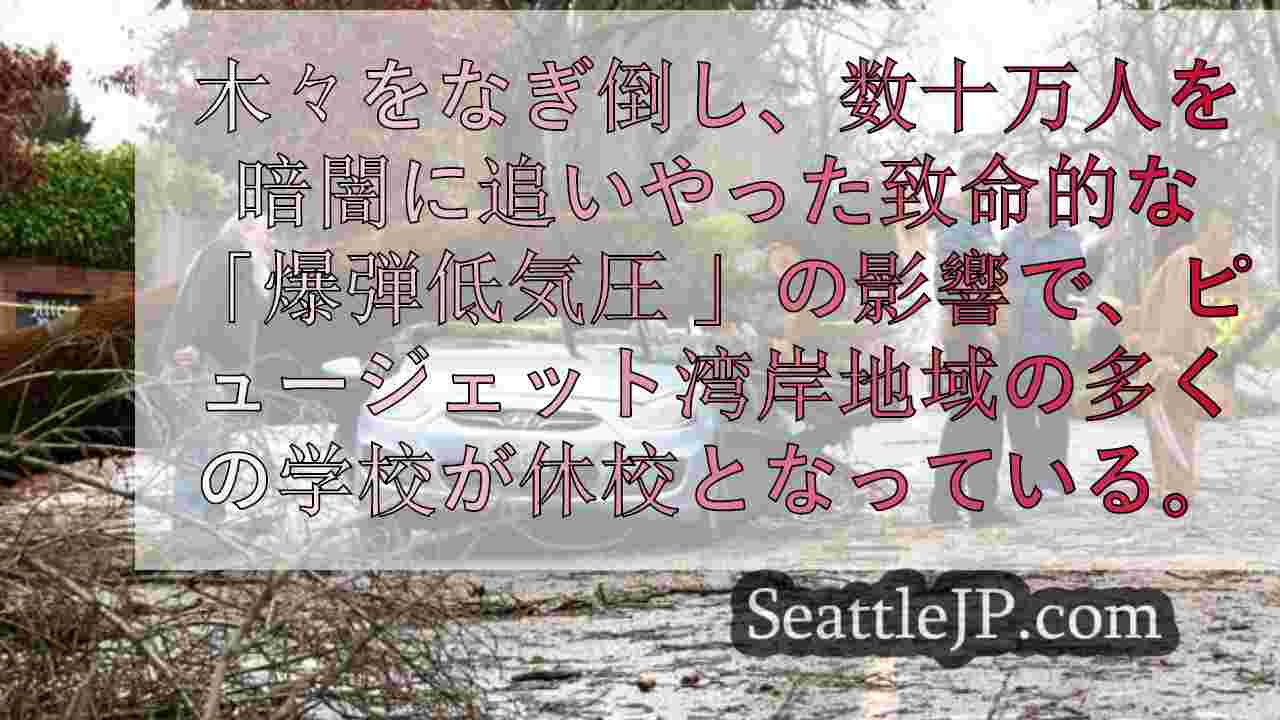 シアトルニュース SeattleJP