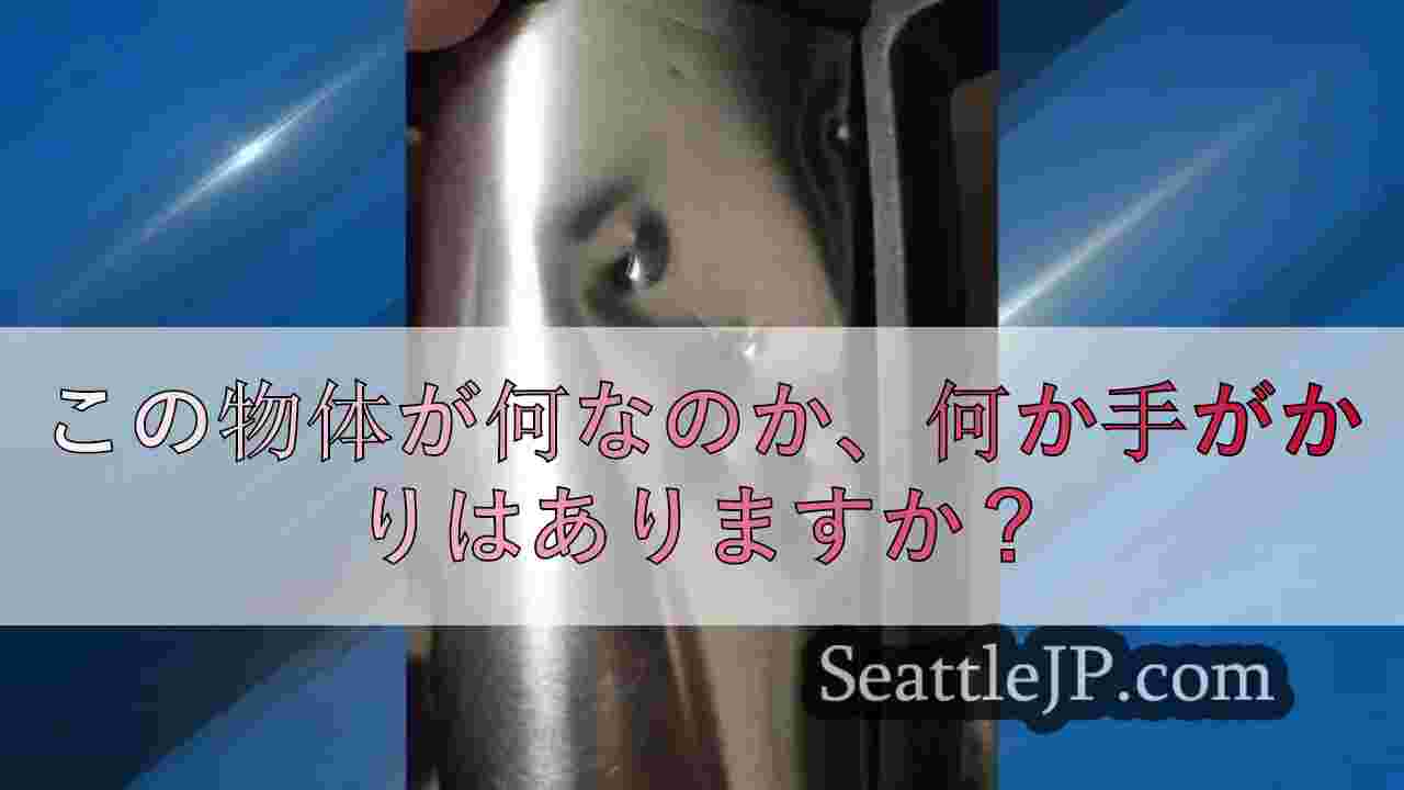 シアトルニュース SeattleJP