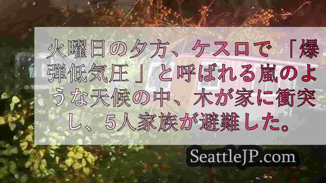 シアトルニュース SeattleJP