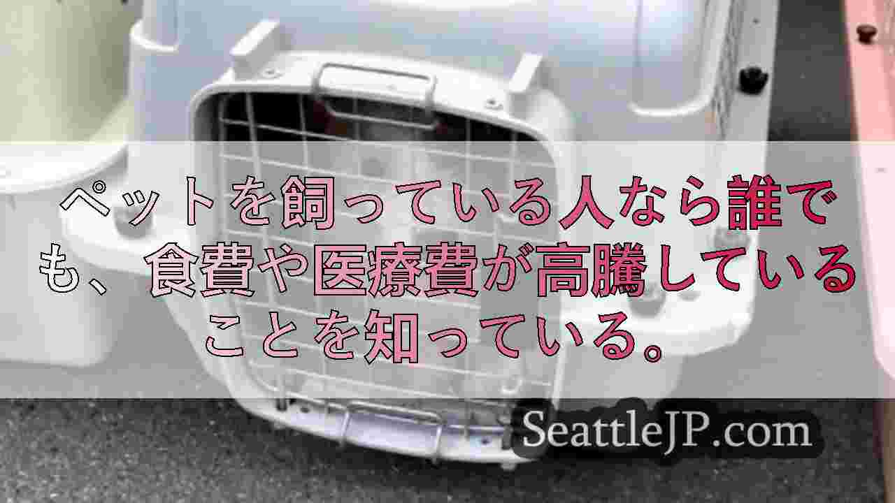 シアトルニュース SeattleJP