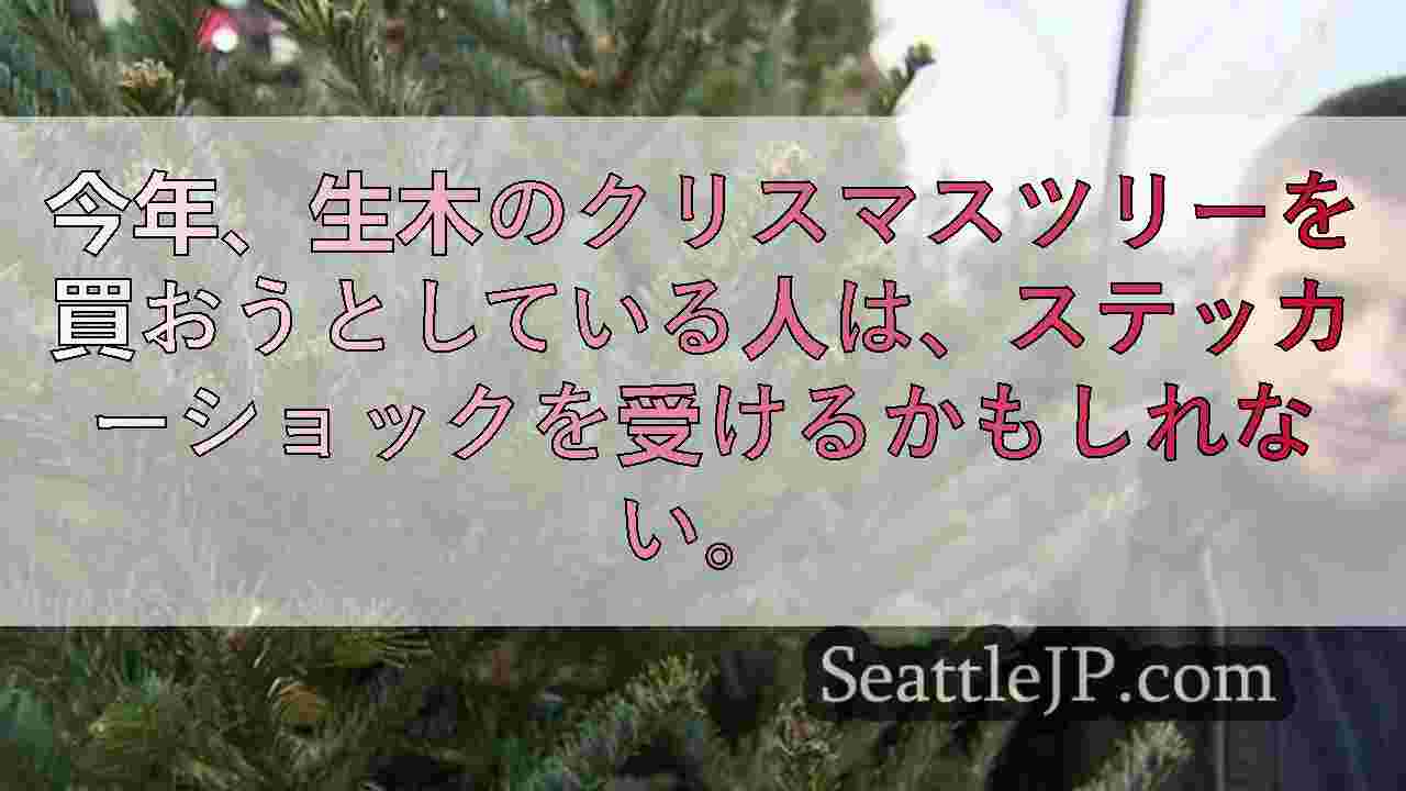 シアトルニュース SeattleJP