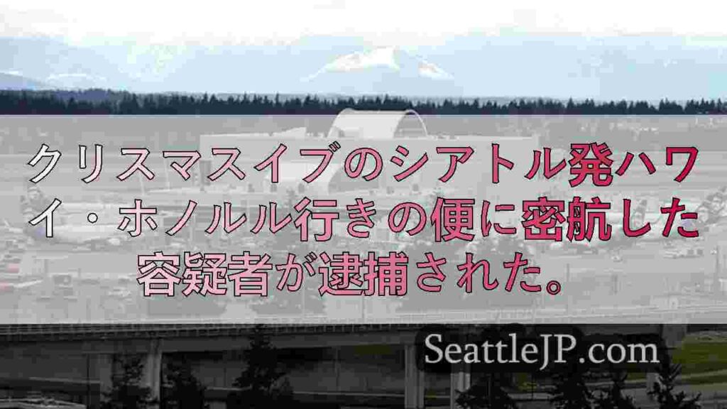 SEA空港では、頭を悩ませる事件が数件発生した後、休暇中の旅行が続いている。