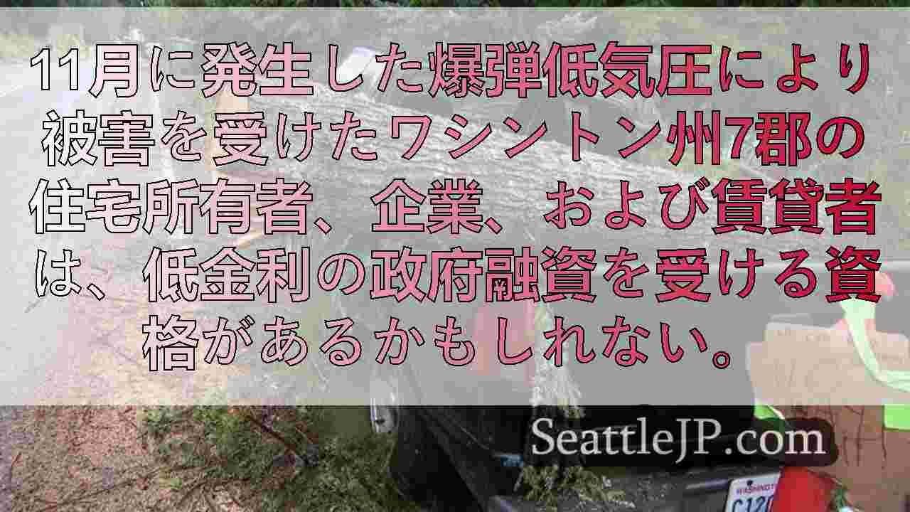 シアトルニュース SeattleJP