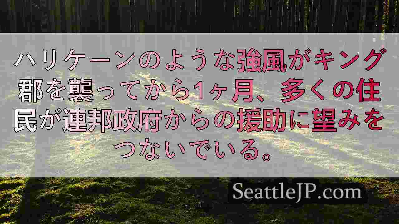 シアトルニュース SeattleJP