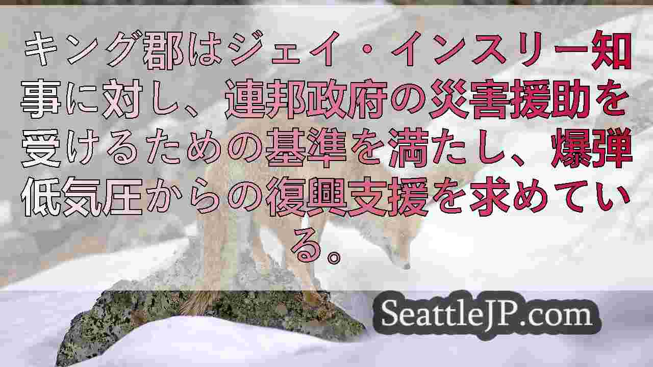 シアトルニュース SeattleJP