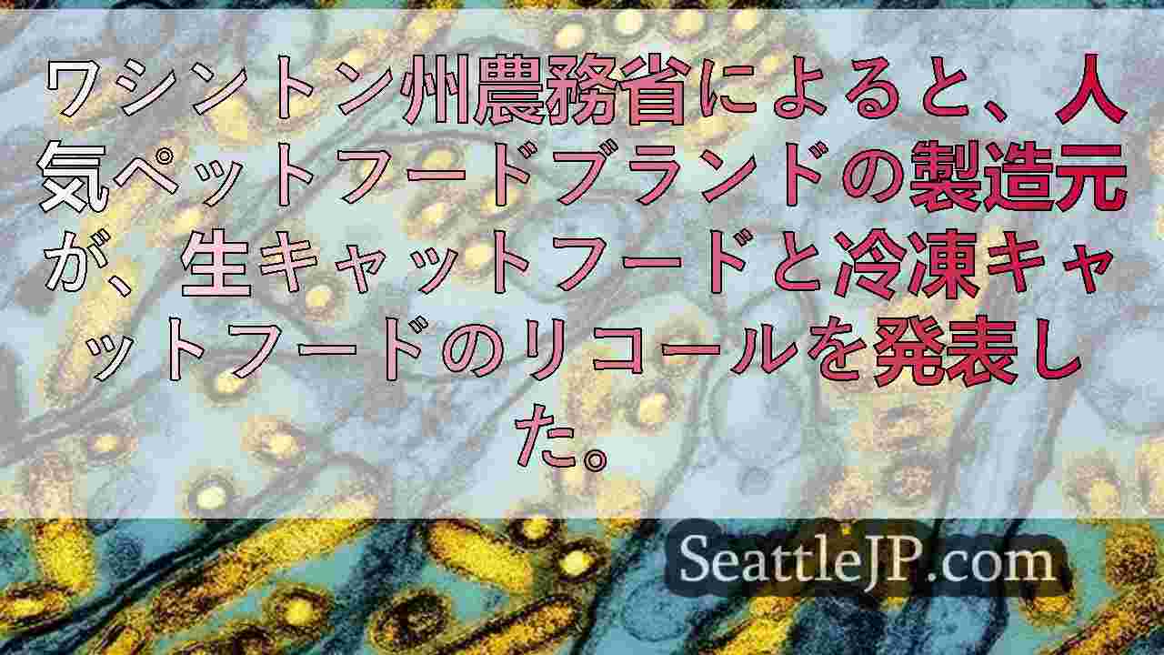 シアトルニュース SeattleJP