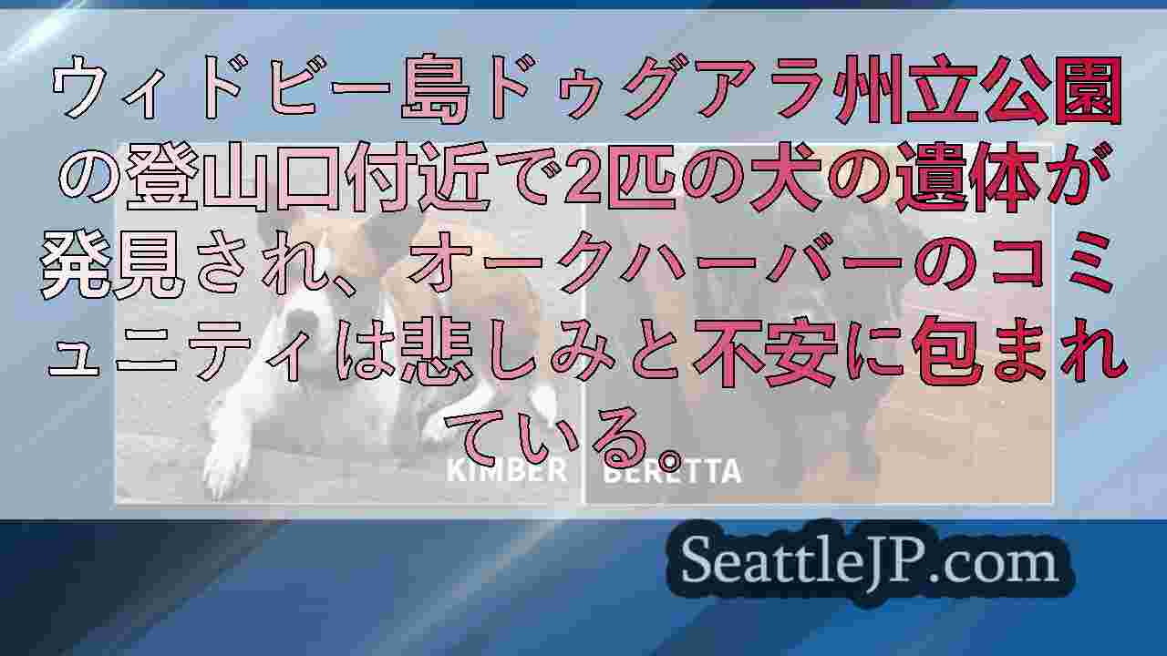 ドゥグアラ州立公園登山口付近で2匹の犬の遺体が発見され、揺れるオークハーバー