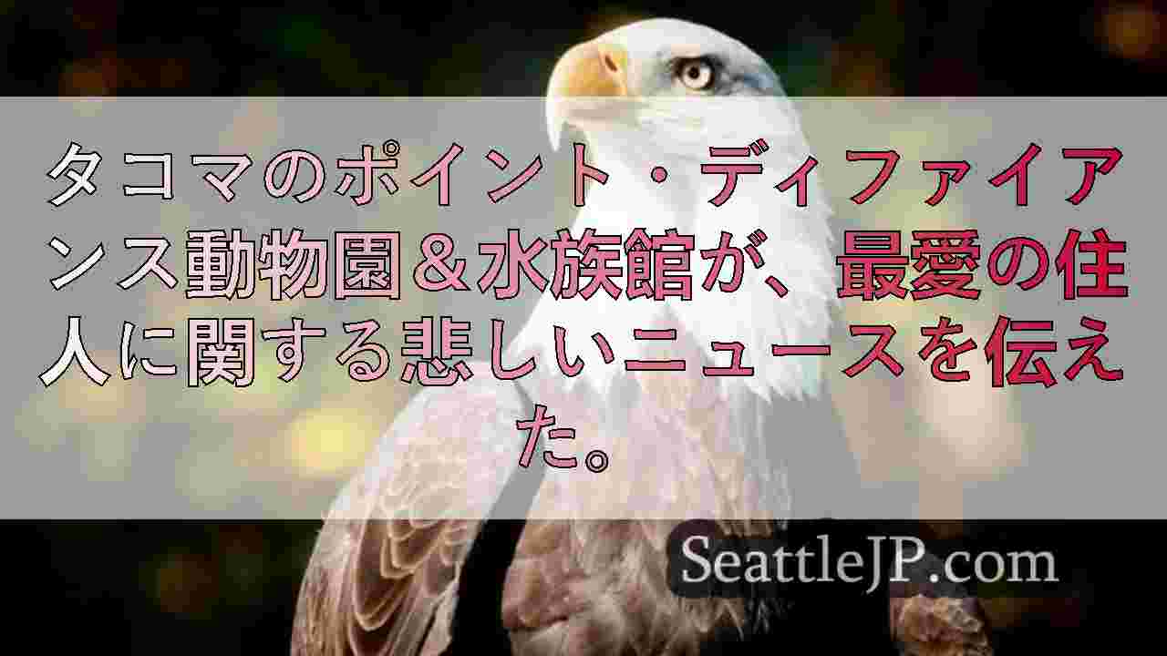 シアトルニュース SeattleJP