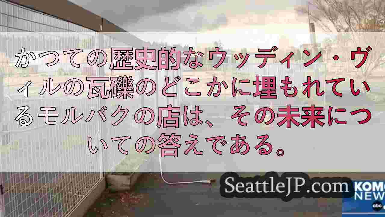 シアトルニュース SeattleJP