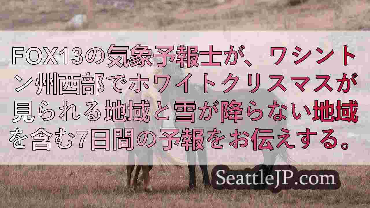 シアトルニュース SeattleJP