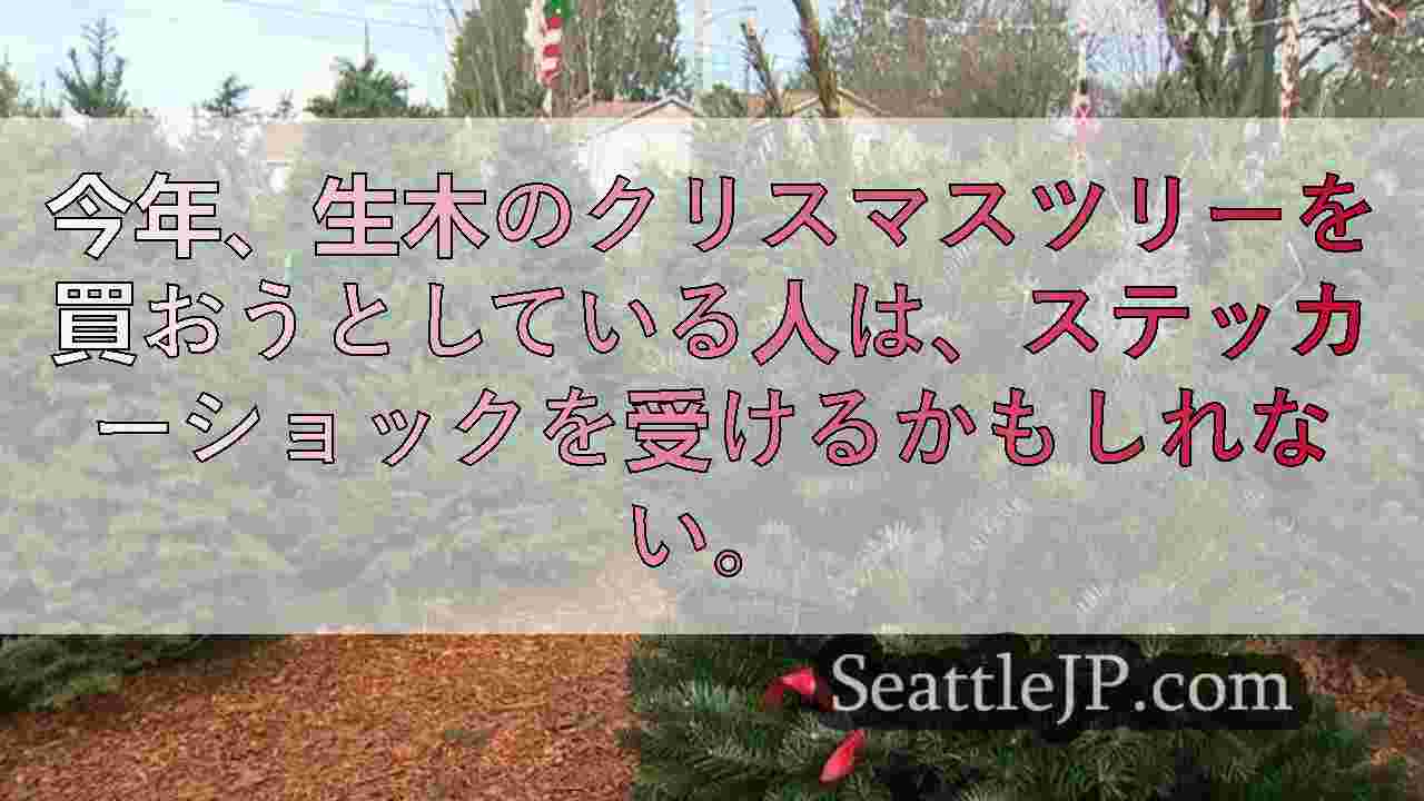 シアトルニュース SeattleJP