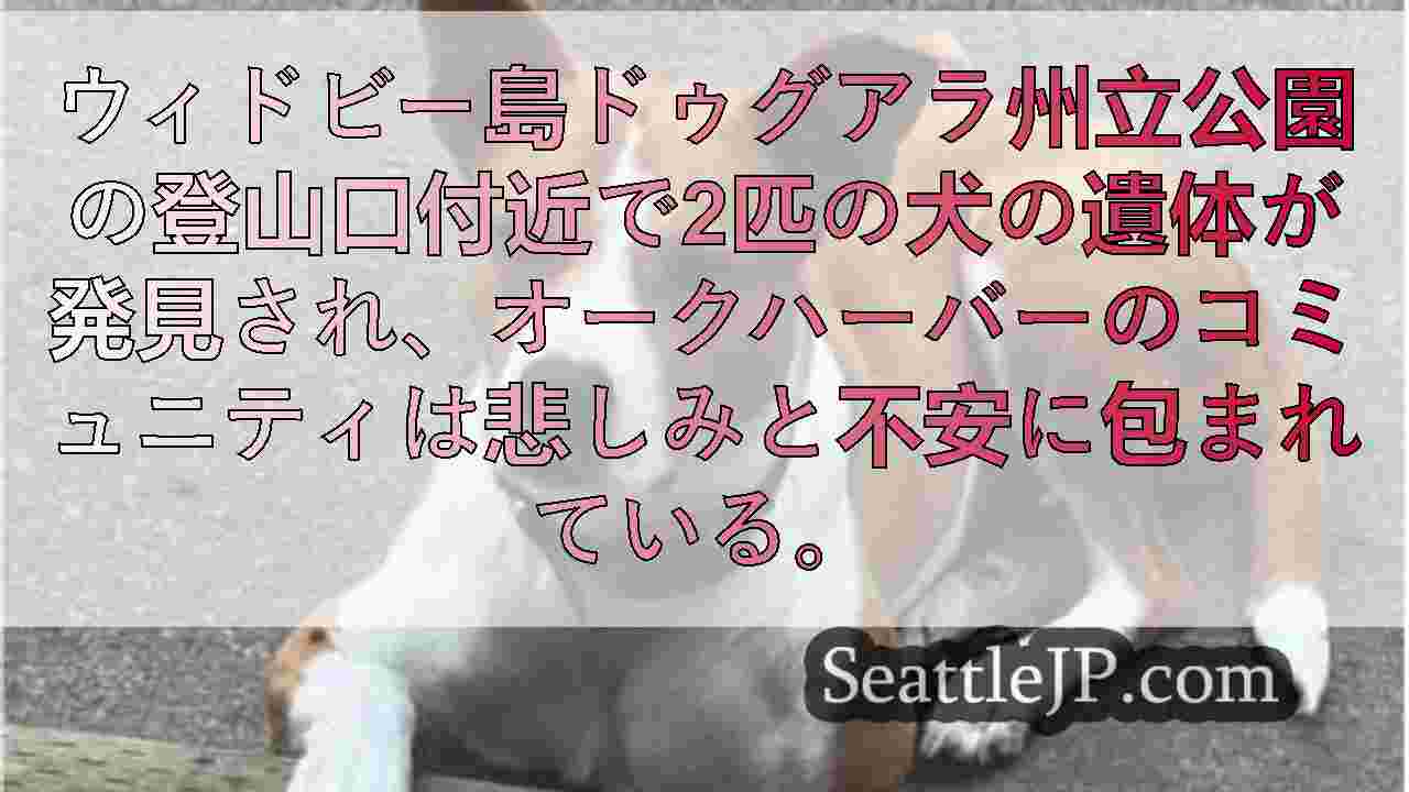 シアトルニュース SeattleJP