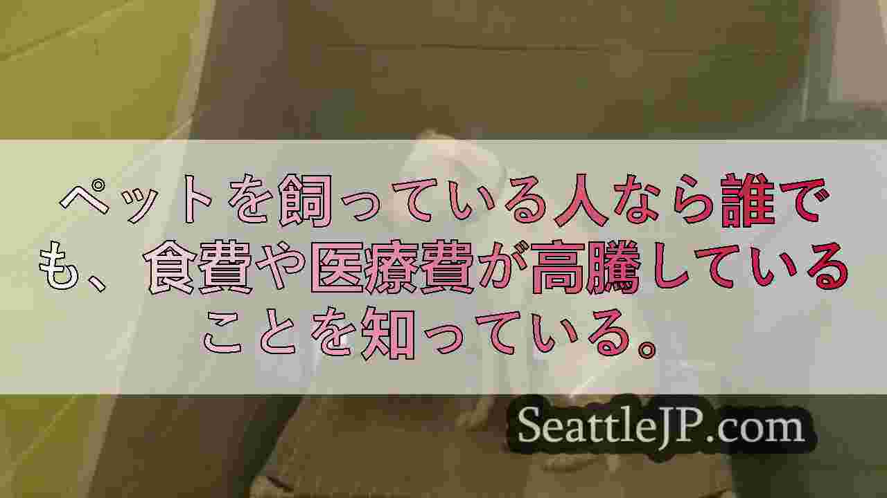 ブリエンの保護施設、ペットケア費用の高騰と最近の18頭の犬の救出に圧倒される