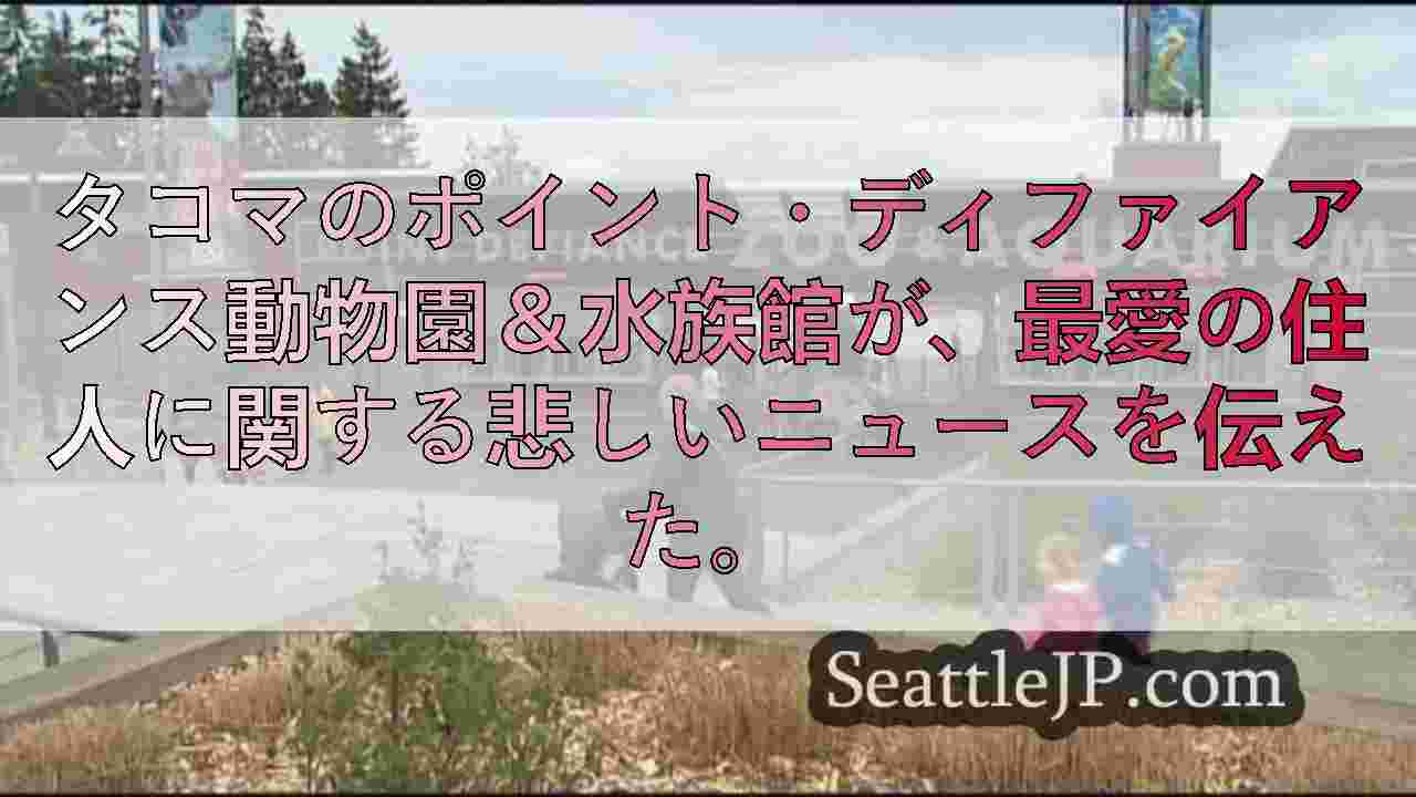 シアトルニュース SeattleJP