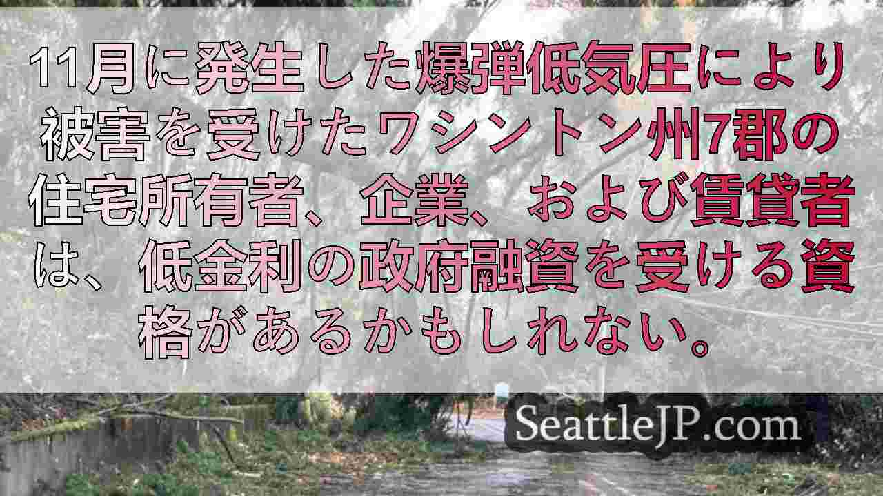 シアトルニュース SeattleJP