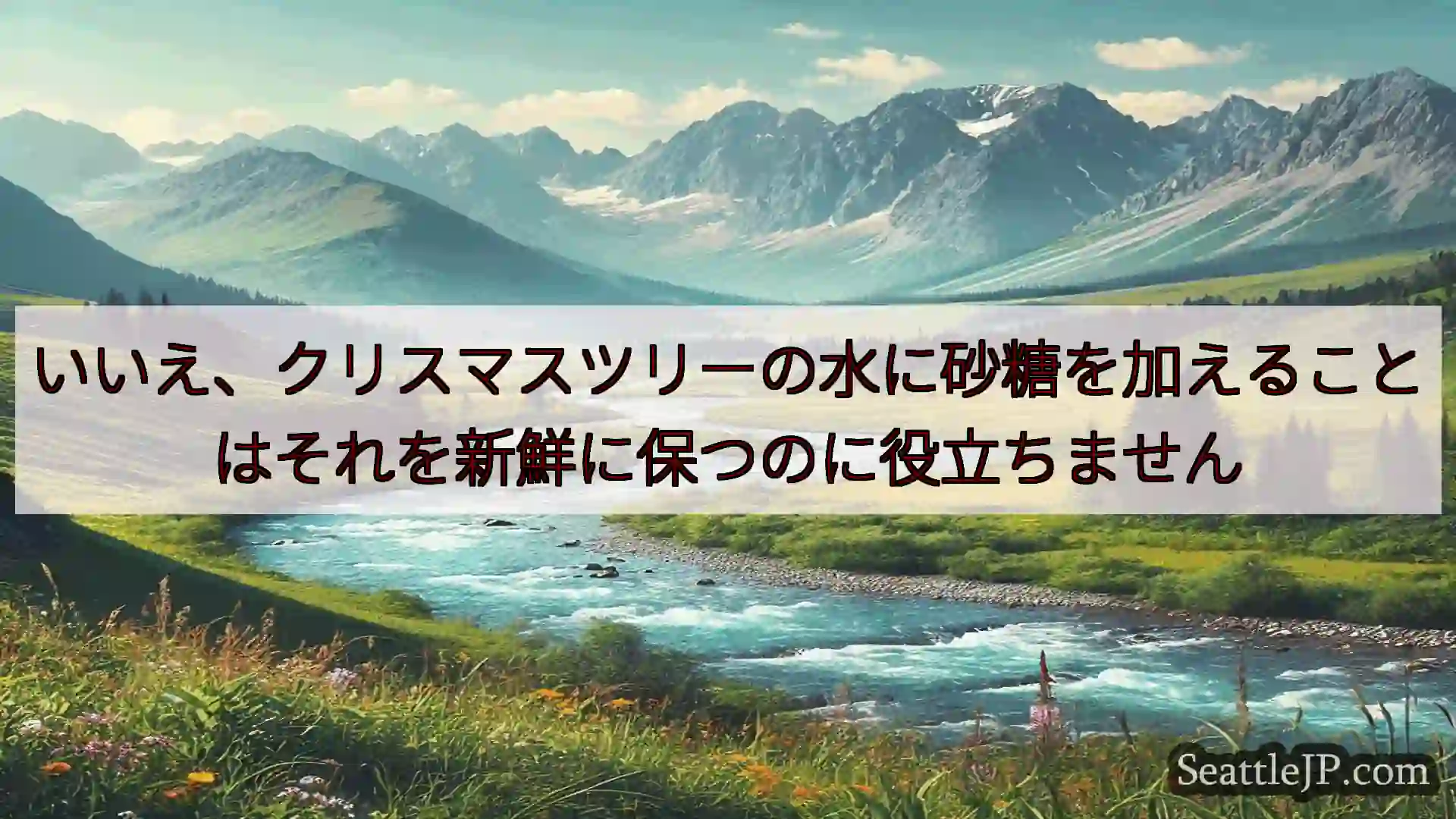 シアトルニュース いいえ、クリスマスツリーの水に砂糖を加えることはそれを新鮮に保つのに役