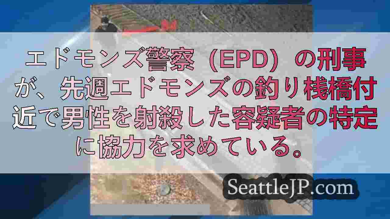 シアトルニュース SeattleJP