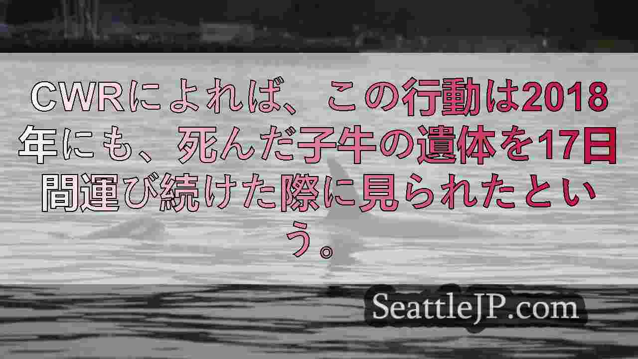 シアトルニュース SeattleJP