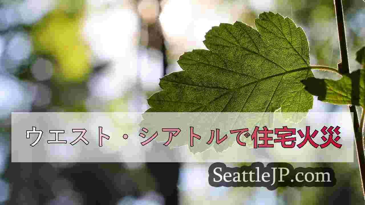 シアトルニュース SeattleJP