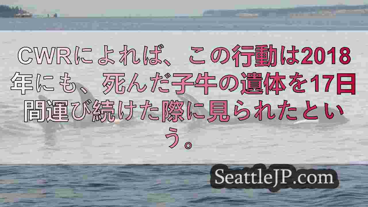 シアトルニュース SeattleJP