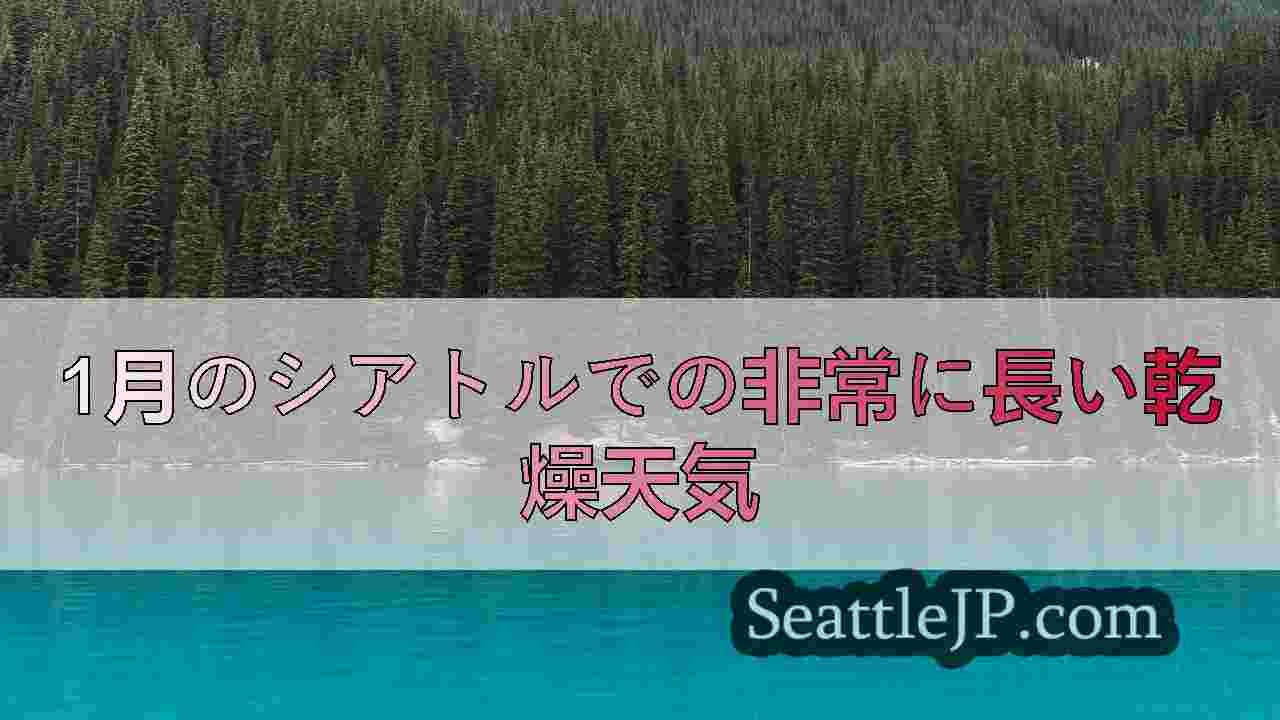 シアトルニュース SeattleJP