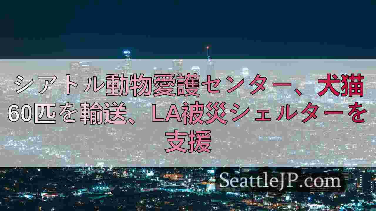 シアトルニュース SeattleJP