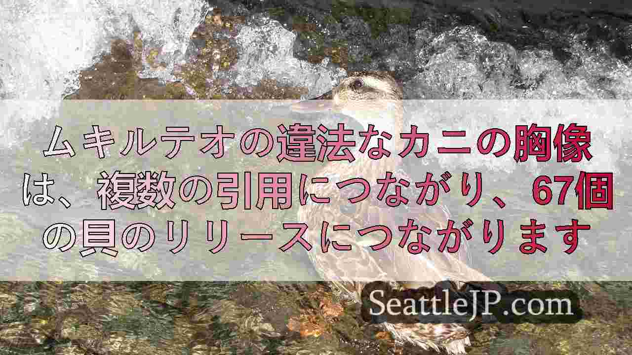 シアトルニュース SeattleJP